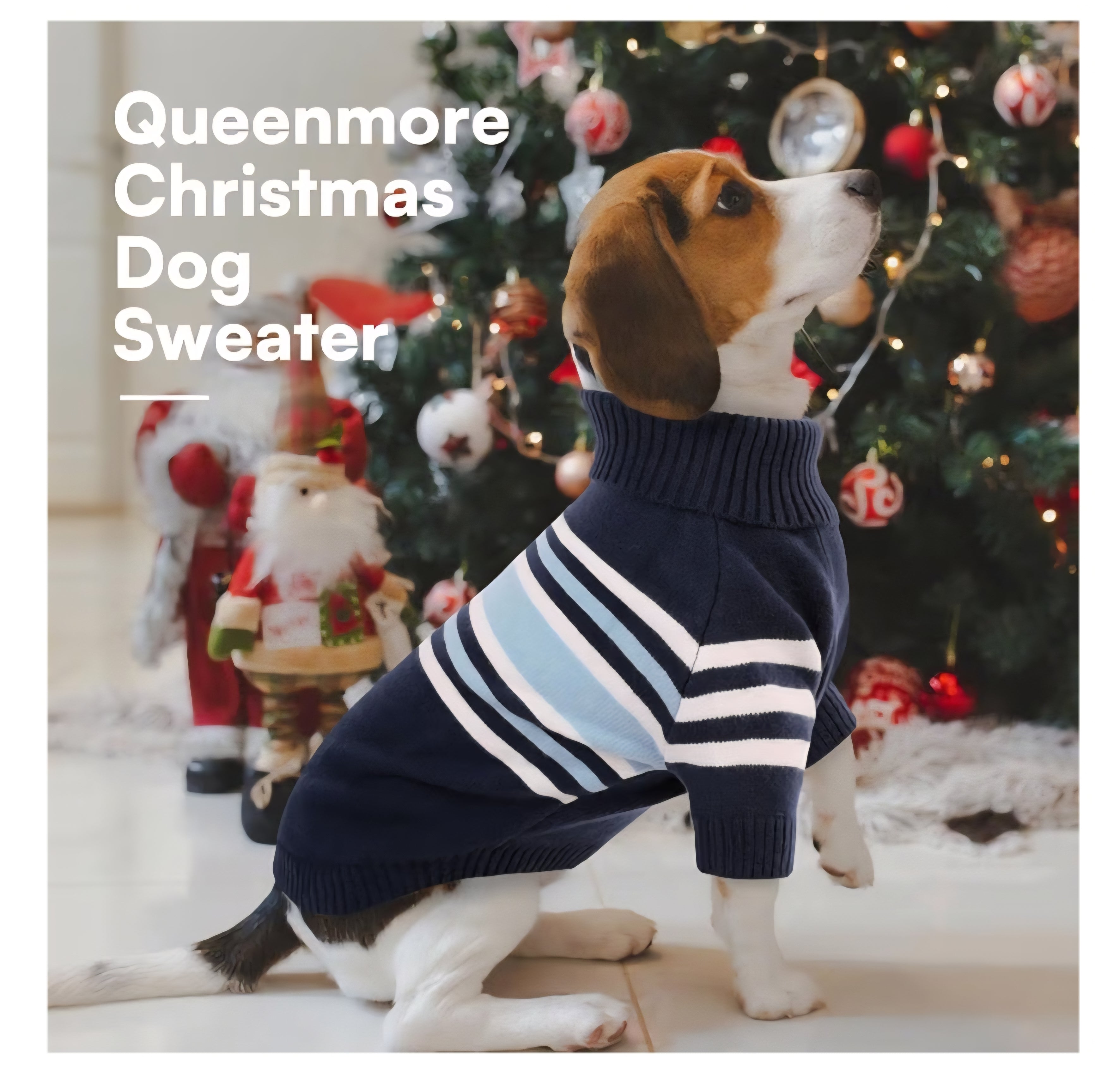 La Importancia del Abrigo en Perros Pequeños Durante el Invierno