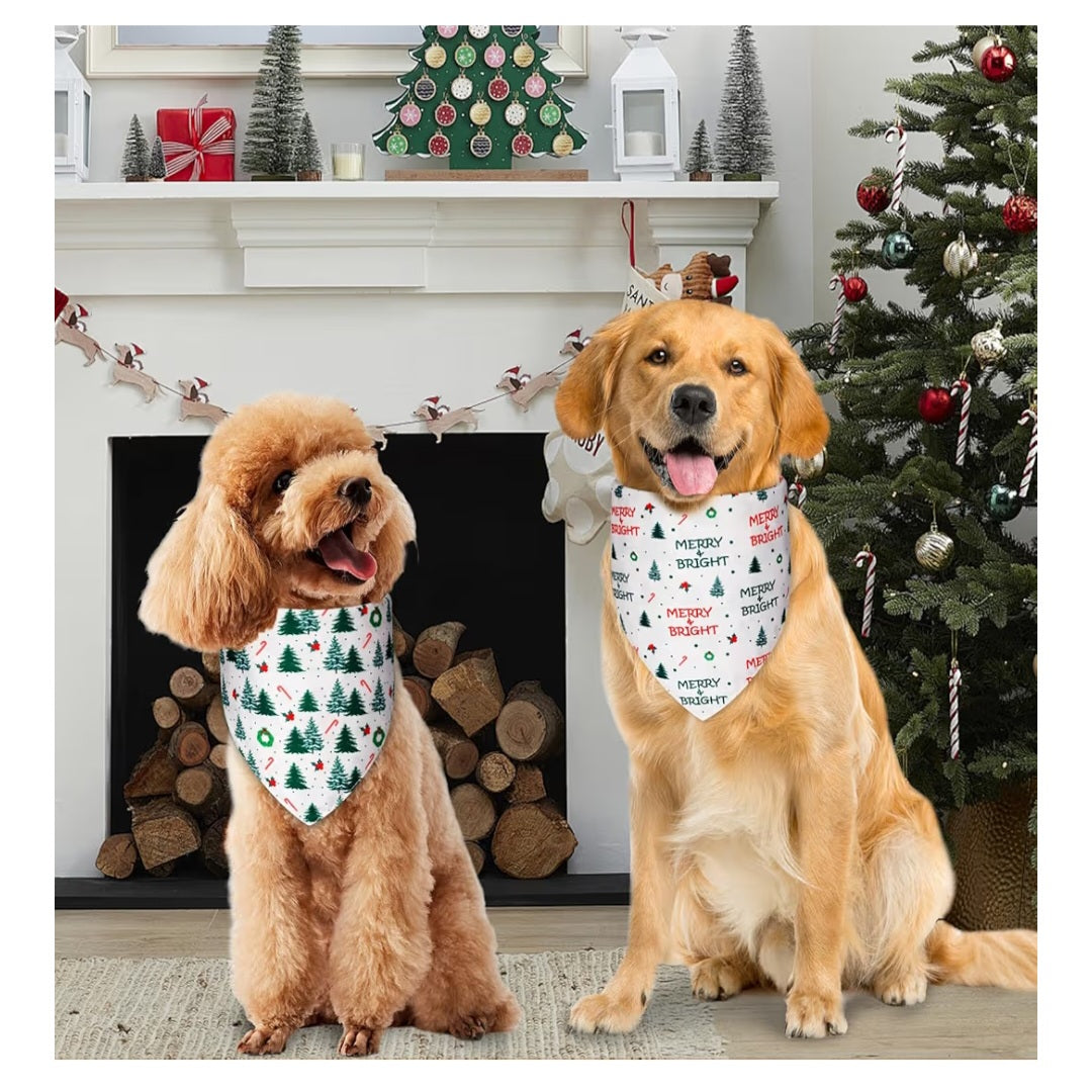 Bolsa navideña sorpresa perro grande