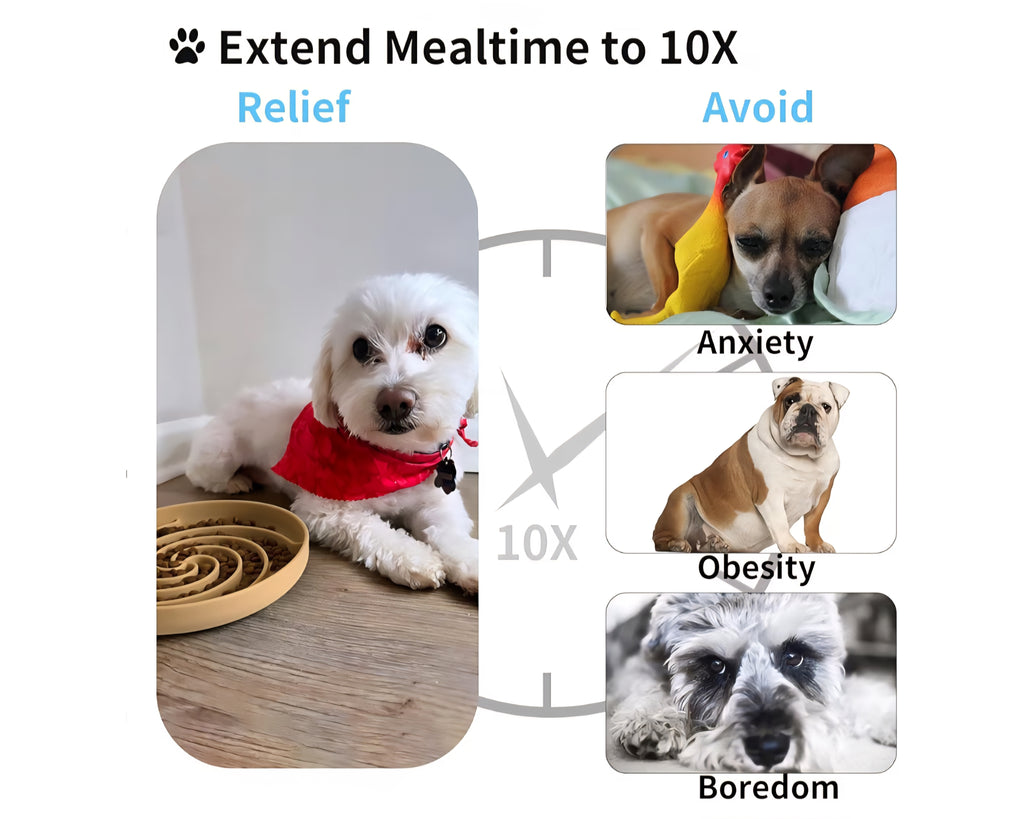 Cuenco para alimentación lenta color café