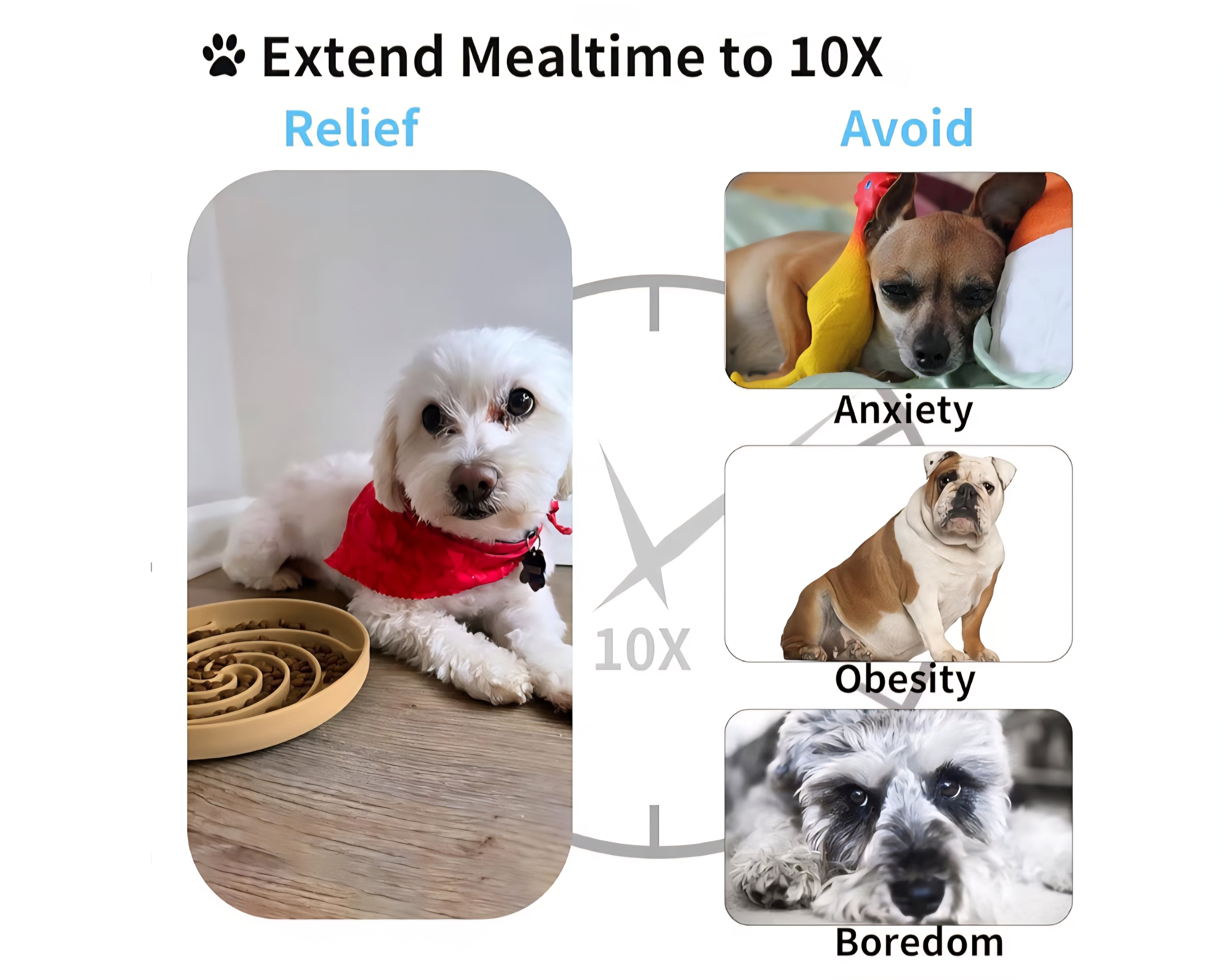 Cuenco para alimentación lenta celeste