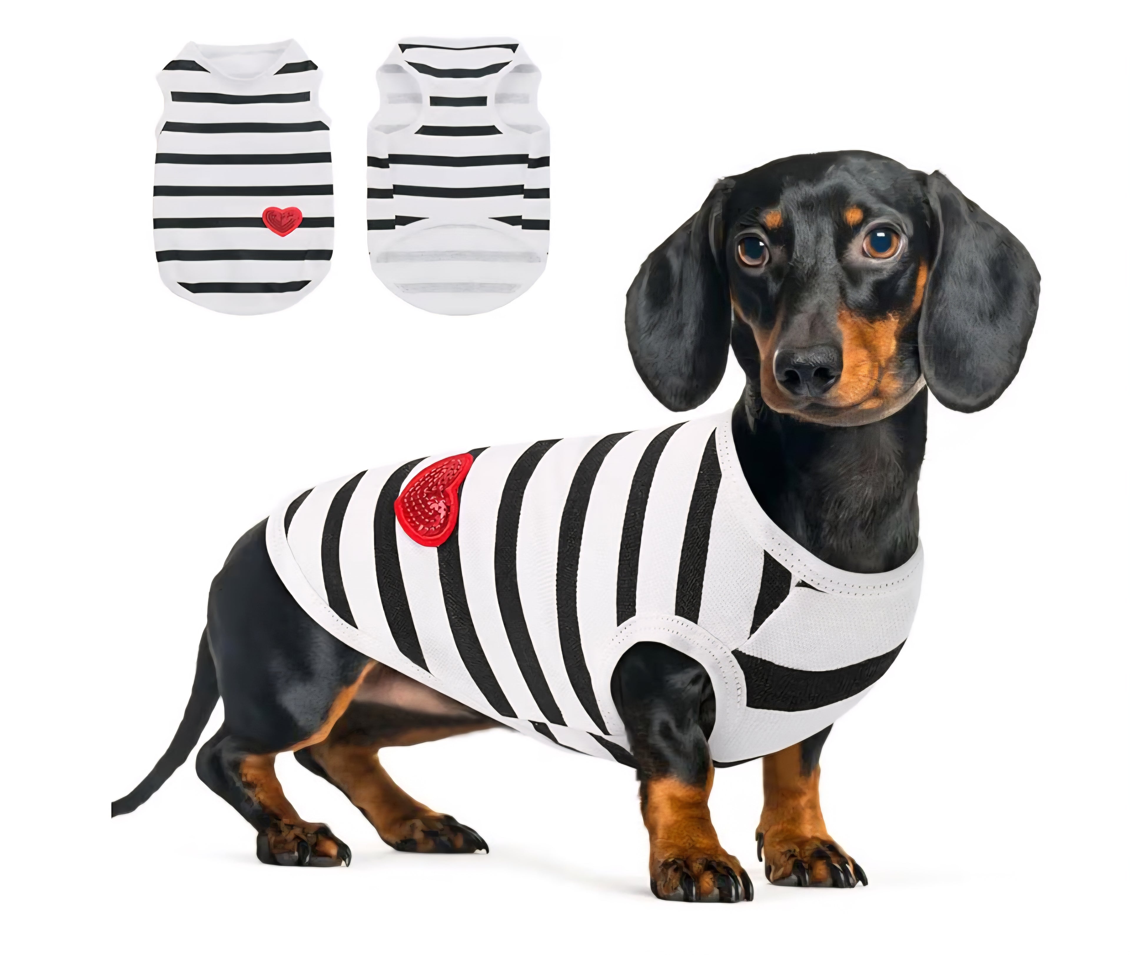 Camiseta para mascota Talla XS