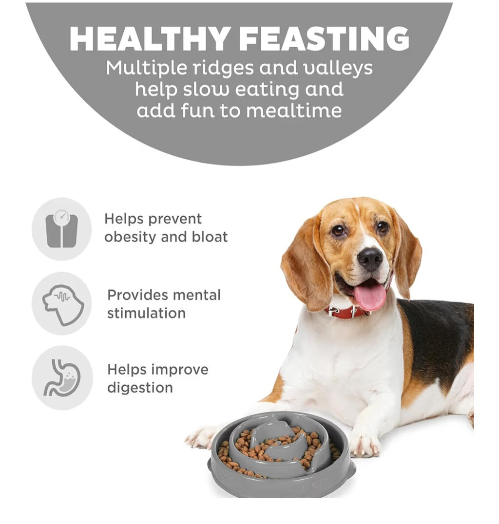 Cuenco de alimentación lenta